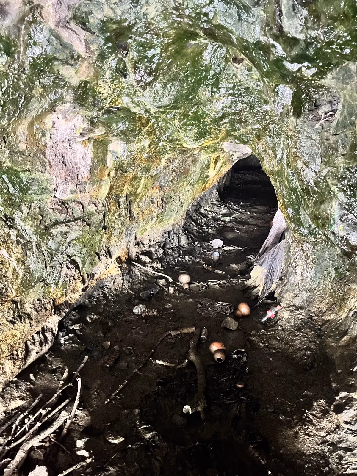 Hidden cave entrance