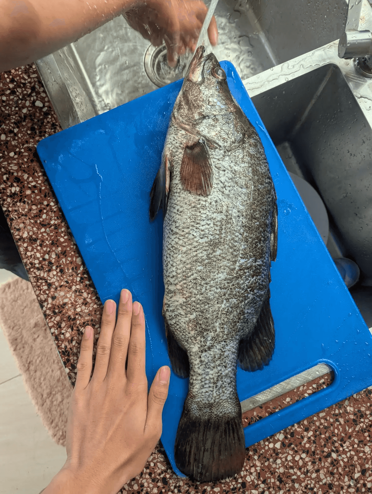 火烤尼羅河鱸魚